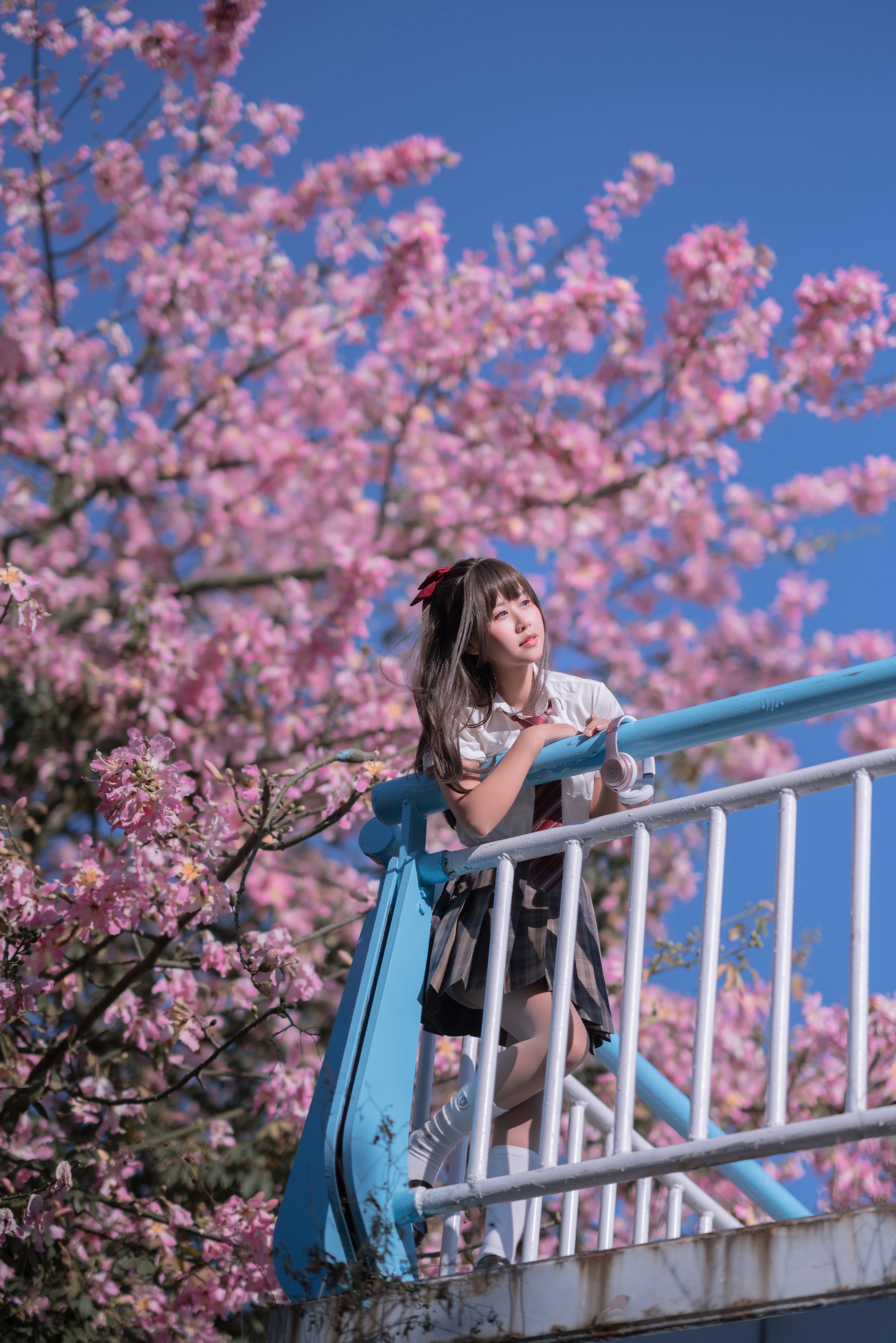 萌芽儿o0 - NO.027 异木棉花[27P]-XikXak
